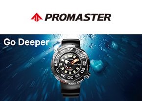 PROMASTER